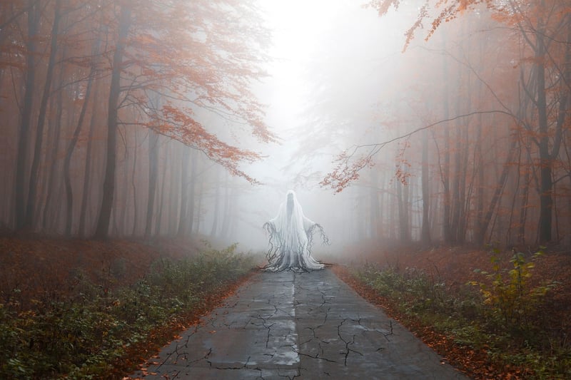 Mysterious Forest